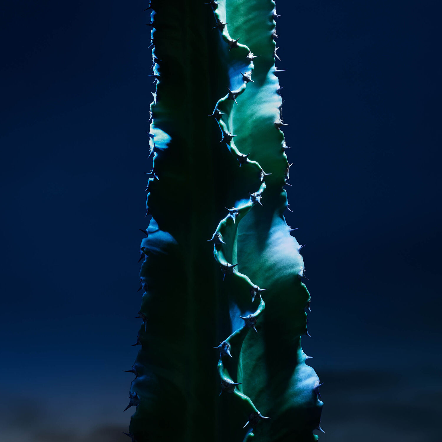 SAUVAGE THE SERUM (SUERO POTENCIALIZADO CON CACTUS)